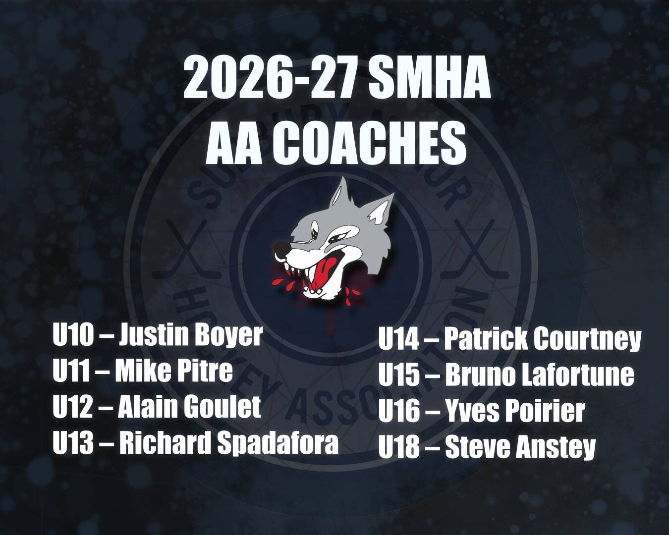 AA_Coaches_WhatsApp_Image_2026-02-15_at_11.07.57_AM.jpeg